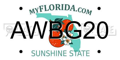AWBG20 Florida License Plate