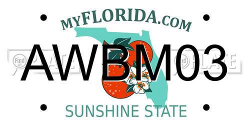 AWBM03 Florida License Plate