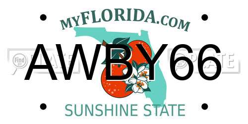 AWBY66 Florida License Plate