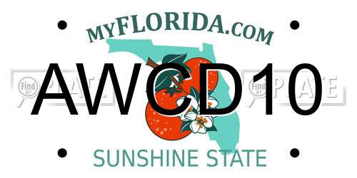 AWCD10 Florida License Plate