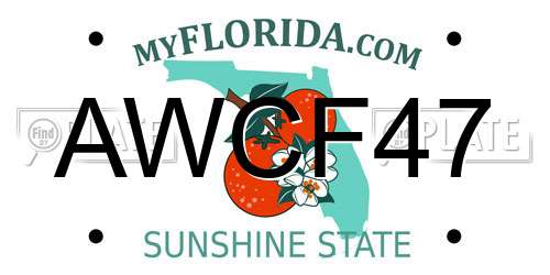 AWCF47 Florida License Plate