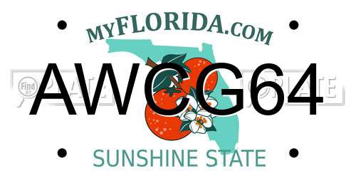 AWCG64 Florida License Plate