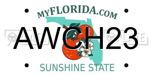 AWCH23 Florida License Plate