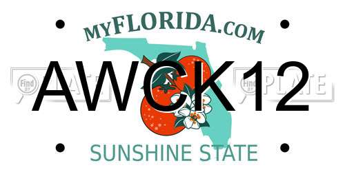 AWCK12 Florida License Plate