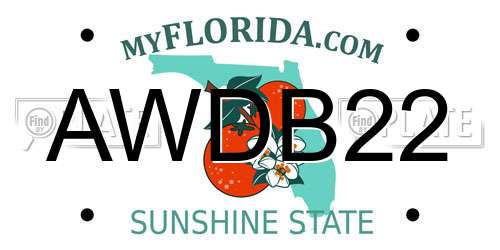 AWDB22 Florida License Plate