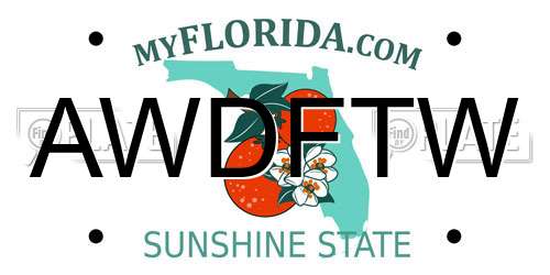 AWDFTW Florida License Plate