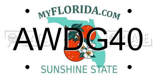 AWDG40 Florida License Plate