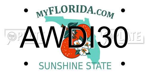AWDI30 Florida License Plate