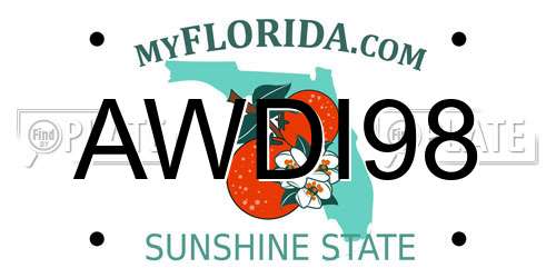 AWDI98 Florida License Plate