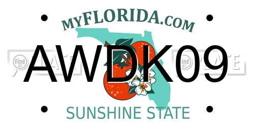 AWDK09 Florida License Plate