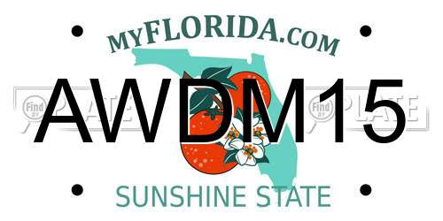 AWDM15 Florida License Plate