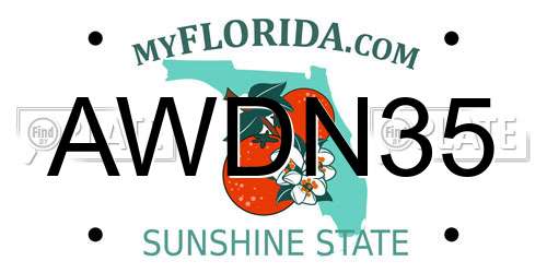 AWDN35 Florida License Plate