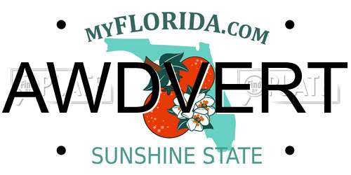 AWDVERT Florida License Plate
