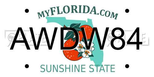 AWDW84 Florida License Plate