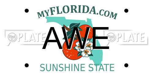 AWE Florida License Plate