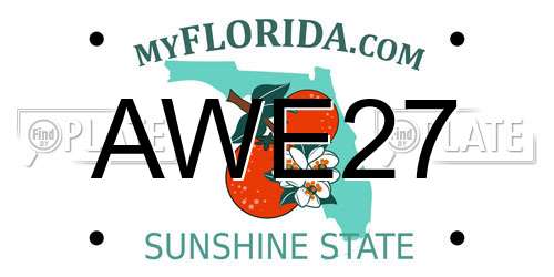 AWE27 Florida License Plate