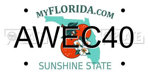 AWEC40 Florida License Plate