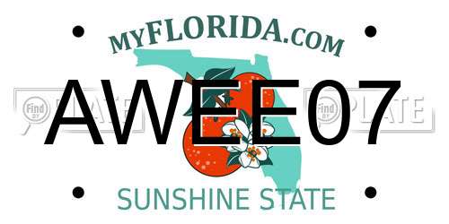 AWEE07 Florida License Plate