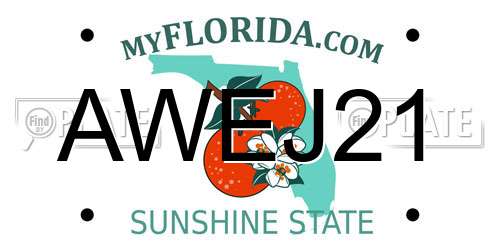 AWEJ21 Florida License Plate