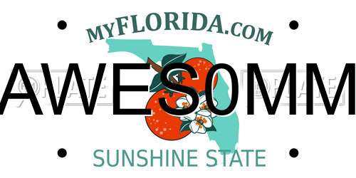AWES0MM Florida License Plate