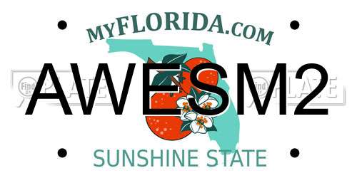AWESM2 Florida License Plate