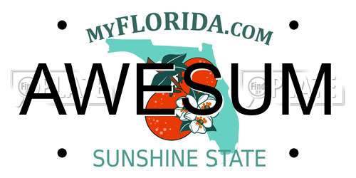 AWESUM Florida License Plate