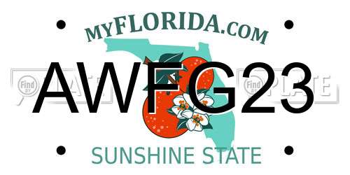 AWFG23 Florida License Plate
