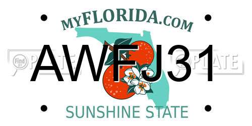 AWFJ31 Florida License Plate