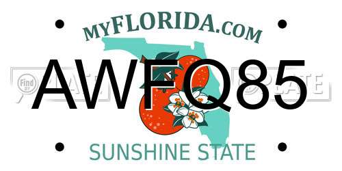 AWFQ85 Florida License Plate