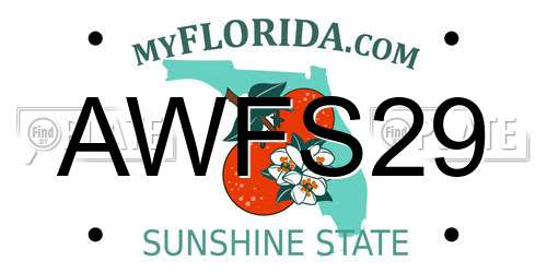 AWFS29 Florida License Plate