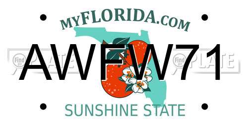 AWFW71 Florida License Plate