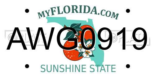 AWG0919 Florida License Plate