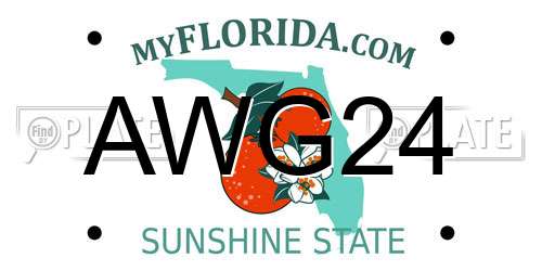 AWG24 Florida License Plate