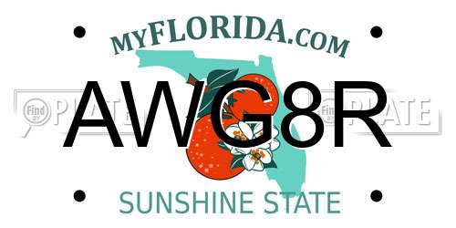AWG8R Florida License Plate