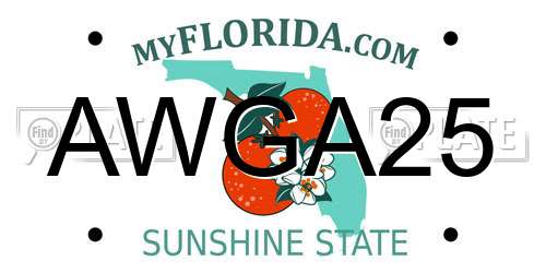 AWGA25 Florida License Plate