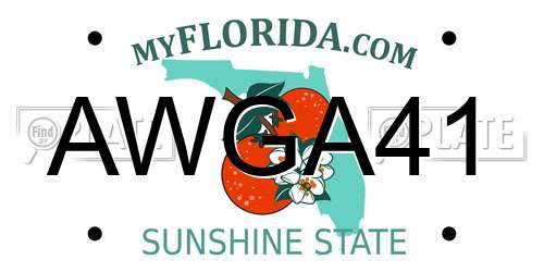 AWGA41 Florida License Plate