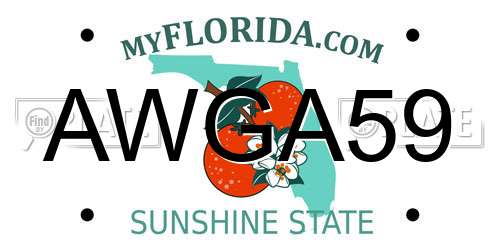 AWGA59 Florida License Plate