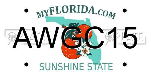 AWGC15 Florida License Plate