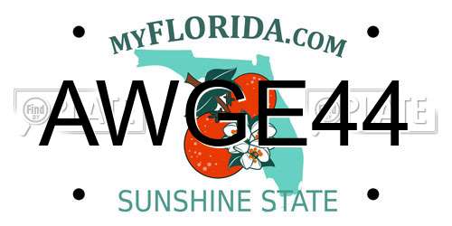 AWGE44 Florida License Plate