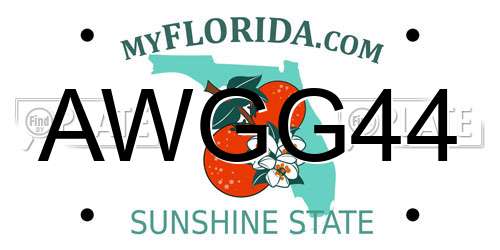 AWGG44 Florida License Plate