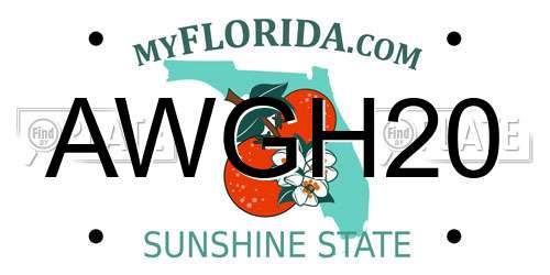AWGH20 Florida License Plate