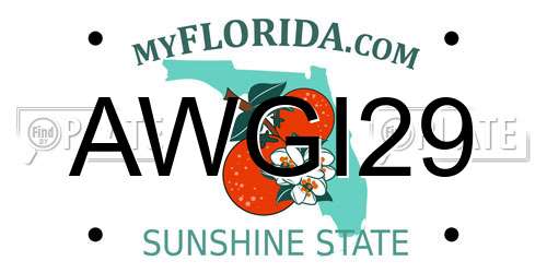 AWGI29 Florida License Plate