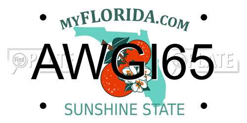 AWGI65 Florida License Plate