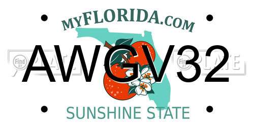 AWGV32 Florida License Plate