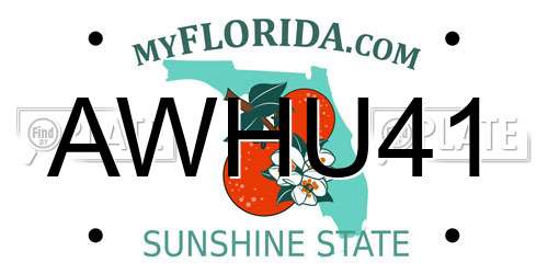 AWHU41 Florida License Plate