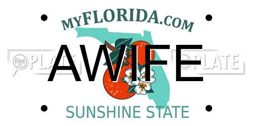AWIFE Florida License Plate