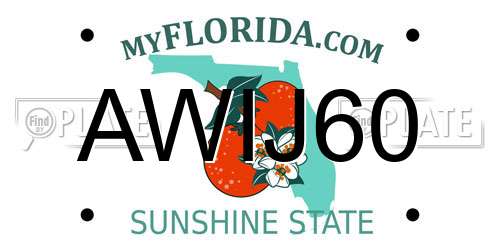 AWIJ60 Florida License Plate