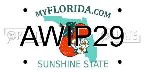 AWIP29 Florida License Plate