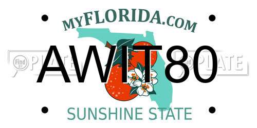 AWIT80 Florida License Plate