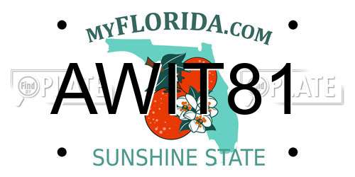 AWIT81 Florida License Plate